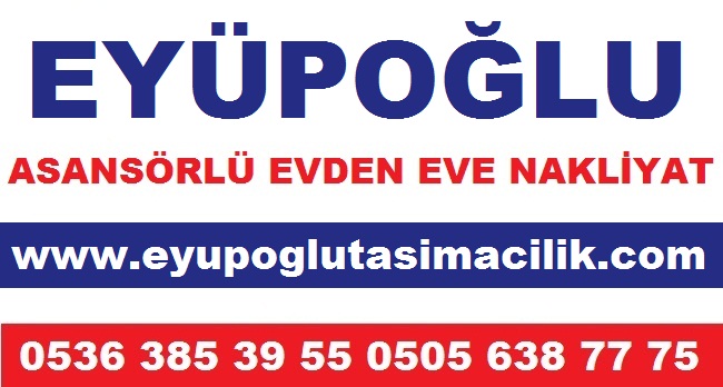 kartal nakliyat evden eve